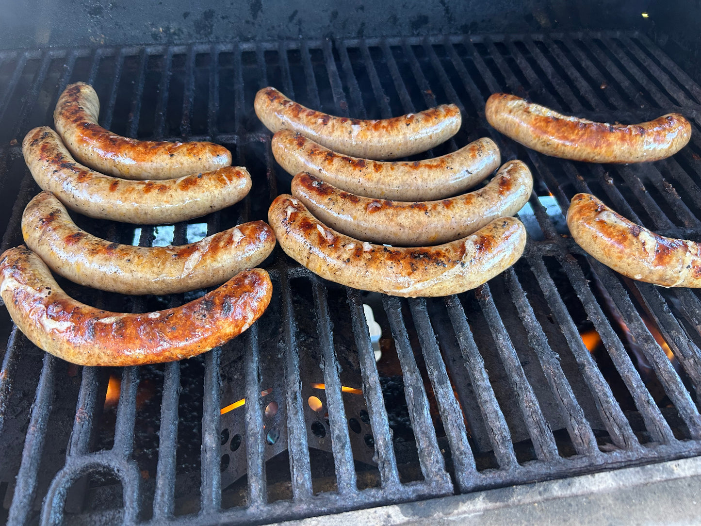 Cheddar Bratwurst