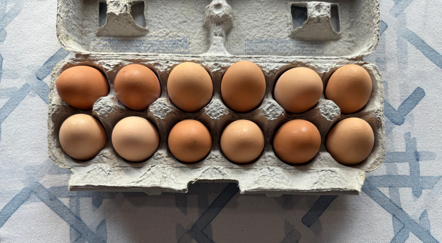 One Dozen Farm Fresh Eggs